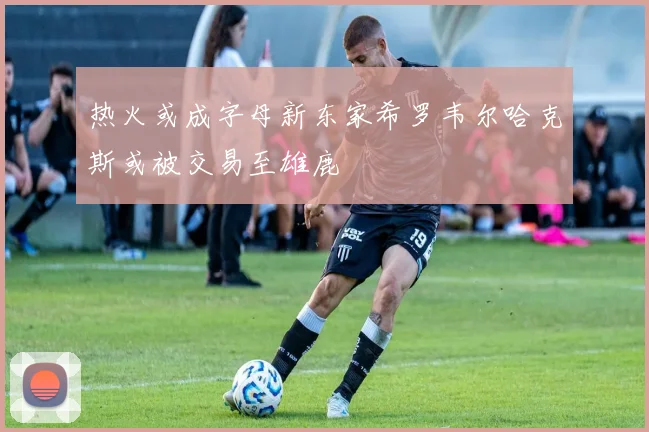 热火或成字母新东家希罗韦尔哈克斯或被交易至雄鹿